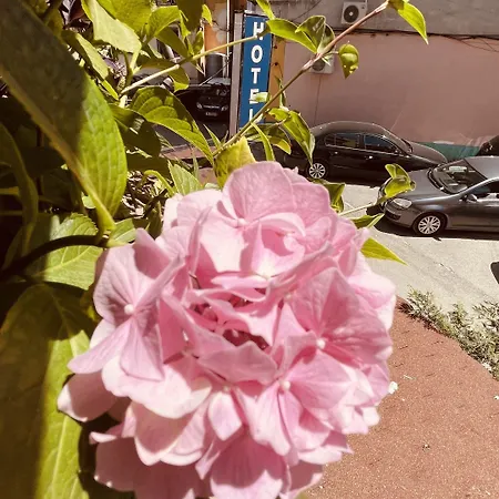 Drinos Ξενοδοχείο 3*